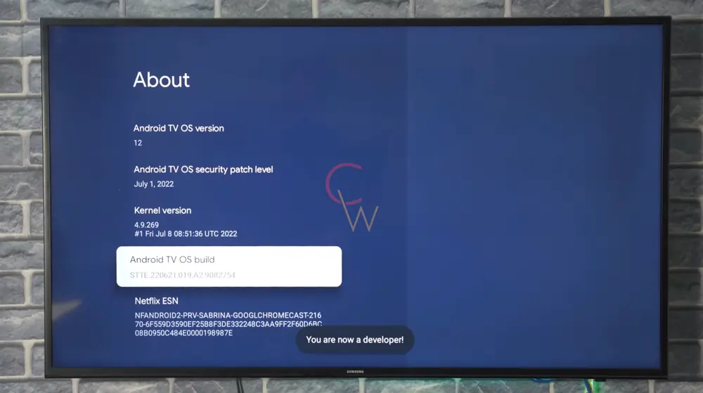 How to Enable Developer Options on Chromecast with Google TV